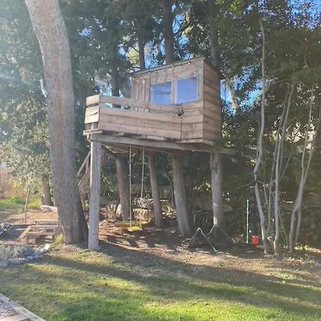Maison Familiale En Bois - Piscine - Avignon